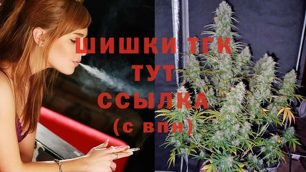 тгк Арсеньев
