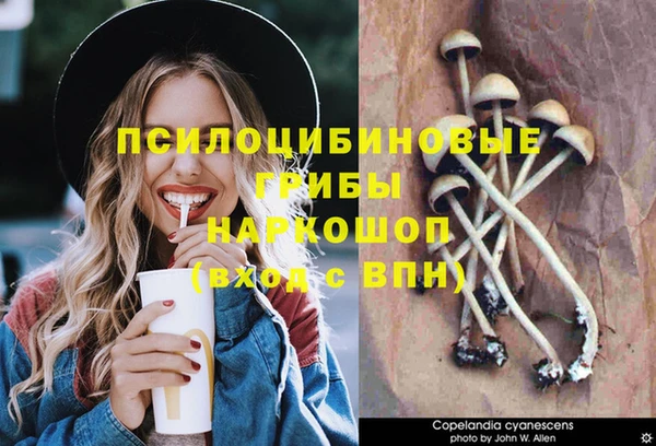 тгк Арсеньев